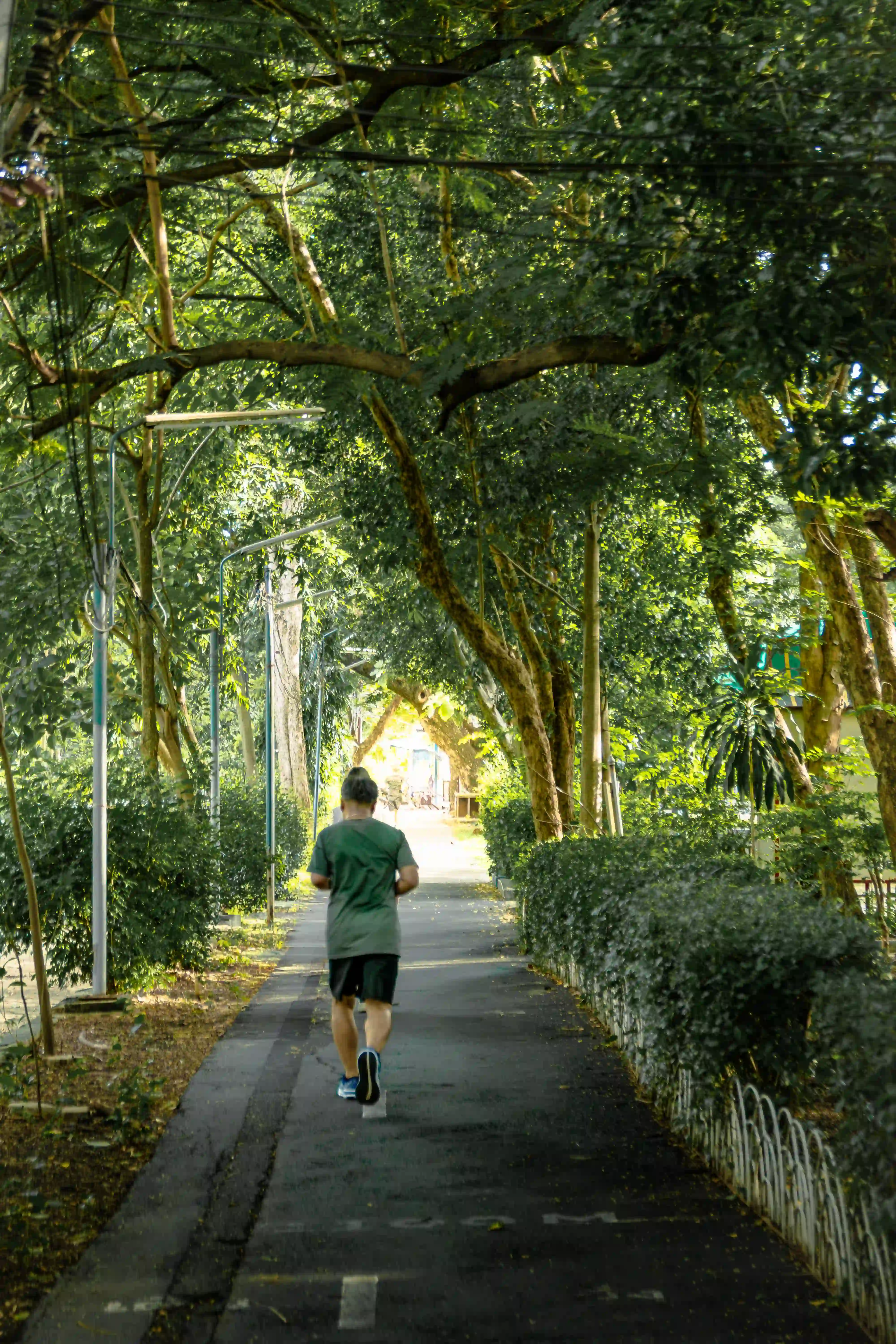 Jogging path — a quiet green loop beside the tombs